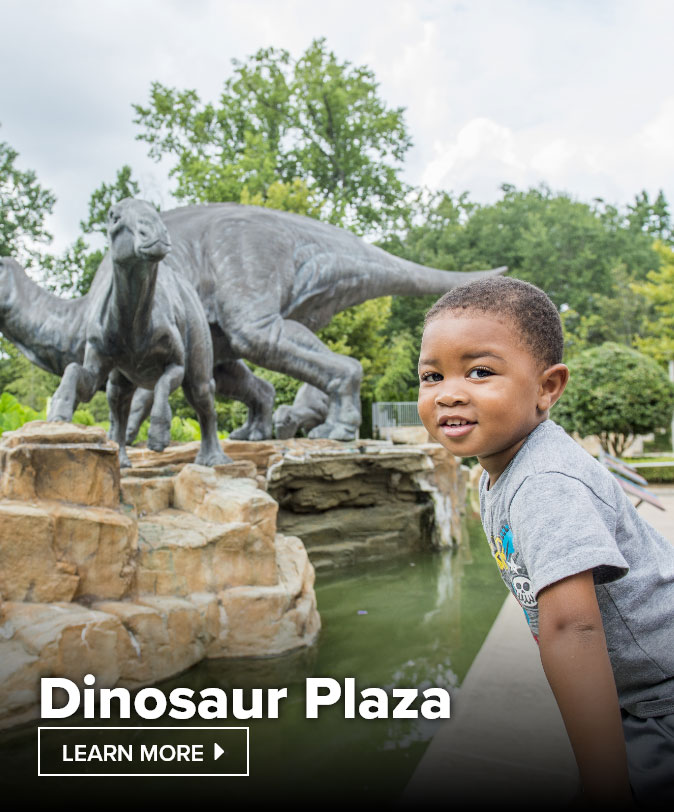 Dinosaur Plaza